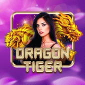 Dragon Tiger colour game casino