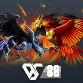 Sabong colour game casino